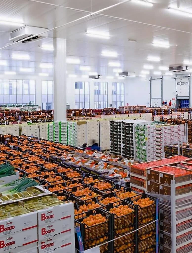 Food & Beverage Warehouse
